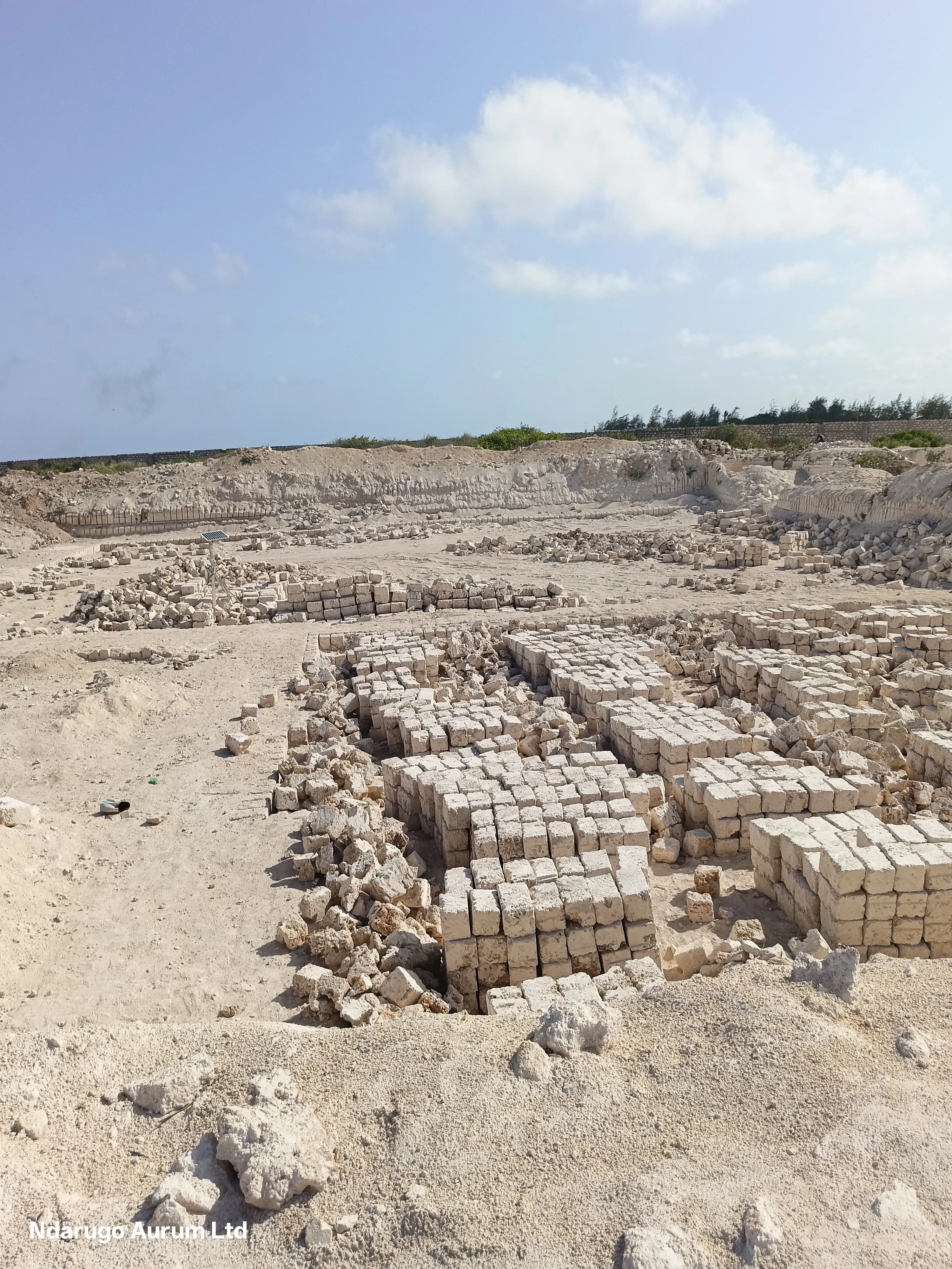 Coral stone blocks